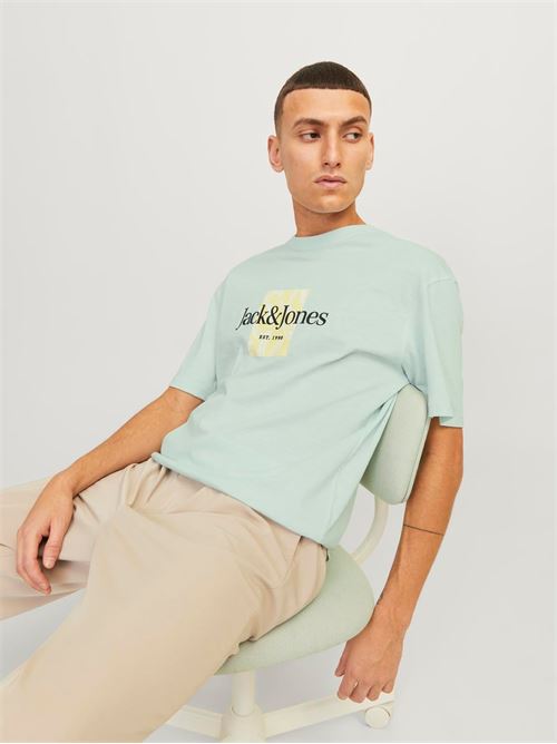 JACK AND JONES | 12250436/Skylight